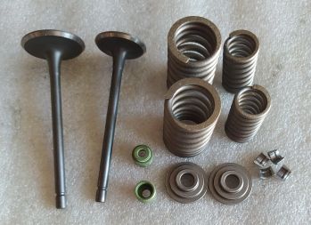 Клапана ГРМ JH70-110 комплеккт(+пружины ,сальники,направляющие...)