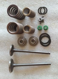 Клапана ГРМ CG 250 комплеккт(+пружины ,сальники,направляющие...)